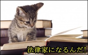 アフィリエイター龍　法律　行政書士　社会保険労務士　勉強　プロフィール　人生讃歌
